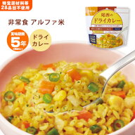 非常食 ご飯 5年保存 尾西のドライカレー 100g アルファ米スタンドパック 1009（非常食 尾西食品 防災グ…