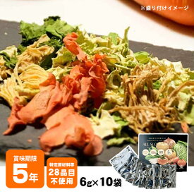 ドライフード 乾燥野菜 1食分の高知乾燥野菜ミックス6g ×10袋入り BOX エアードライ 個包装