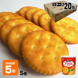 H @ }ULrXPbg YBC Levain vC NbJ[ S 5Nۑ o