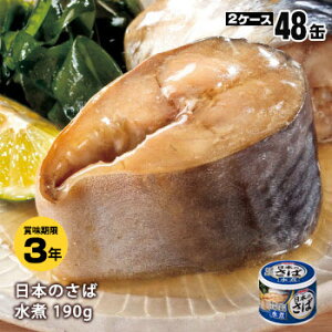 K HOKO {̂  EO 190g×48ʁi24ʓ×2P[Xjy㕥sz