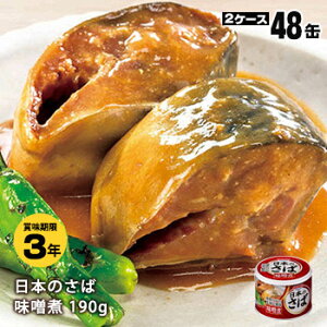 K HOKO {̂ X 190g×48ʁi24×2P[Xjy㕥sz