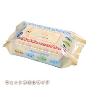 EFbg^I Ch 30 600×300mm No:007-70137 炾ӂ EGbgeBbV EFbgV[g {fBPA 唻 ̐@ ӂ 