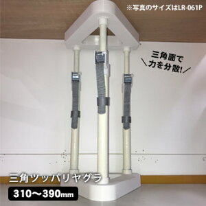 Ƌ ]|h~ ˂_ OpcbpO LR-063P (310`390mm) ϐk nk ΍