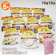 非常食 ご飯 5年保存 尾西食品のアルファ米10種 しっかりご飯セット【賞味期限2031年1月迄】（おかゆなし…