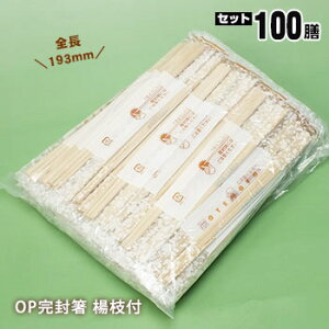 ΂i193mmj×100VOPk}t^CvPK-010i΂ 悤t ĝ Hj