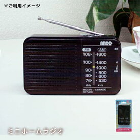 携帯 ラジオ ミニホームラジオ R17-418 ブラック AM/FM