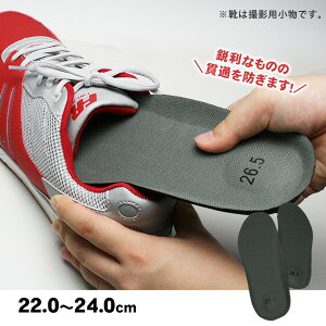 SC Z[teBEC\[ h~ ߃TCY 22.0 ` 24.0 cm h~ ݔh~ [M 1/2]