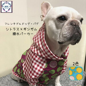 BPPt`uhbOEpO@VgX×MKp[J[