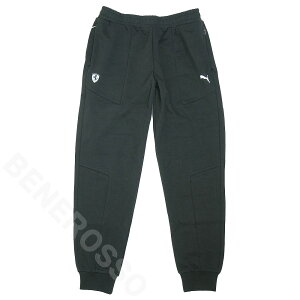 PUMA tF[ X^C XEFbgpc ubN 620984-01