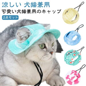 2_Zbg nbg  Lbv L h O΍  Xq  ăoeh~ oPbgnbg Rt o  MǑ΍ 悯 ybgp h Εt  킢 AE