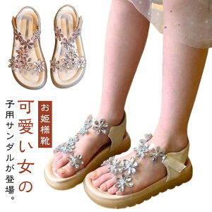 qǂC T_ t[ r[`T_ LbY T_ q ̎q V[Y  qǂ PlC  xr[ T_ Pn  qp T_   tH[} 