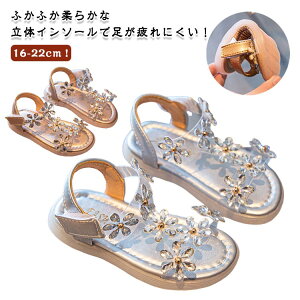 q T_ LbY ̎q T_ q V[Y C T_  tH[}V[Y JWAC qT_ r[`T_  \ o ʉ ʊw 