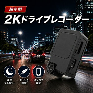 ���r���[�v���[���g���{���I �y�^�J�� �h���C�u���R�[�_�[ �u���[�h�E�H�b�` PETA-CAM-D2K 2K �����^ �y�� �h�����R Peta Came �X�}�z���� �}�C�N��SD�J�[�h512GB�Ŗ�140���Ԙ^�� �O�� ��� �t�����g