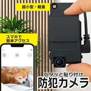 ���r���[�v���[���g���{���I �h�ƃJ���� ���O �����^ �y�� Peta Came SEC �u���[�h�E�H�b�` PETA-CAM-SEC1080P 200����f �L�p120�x �^����� �X�}�z���� �ő�280���Ԙ^�� �y�^���Ɠ\��t�� ���^�J���� 