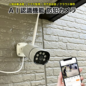 Op AI F@\ hƃJ u[hEHb` SEC-CAM-AI X}z AI@\tJ lǔ u oʘb   ĎJ X}zAv WiFi ǐ