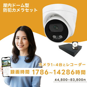 �h�ƃJ���� ���� POE���d�� 4K �h�[���^ �I�ׂ�J����1�`4�� �n�[�h�f�B�X�N2TB/4TB�̘^��@�Z�b�g �u���[�h�E�H�b�` 800����f NVR�J���� LAN�P�[�u���ڑ� ���R�[�_�[�Z�b�g �Ď��J���� �h�o �ԊO