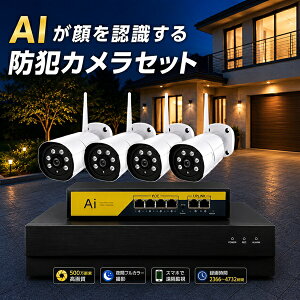 �h�ƃJ���� ���O ��F�� AI�L�� 500����f �J����4�� �I�ׂ�n�[�h�f�B�X�N2TB/4TB�̘^��@�Z�b�g POE���d�� �u���[�h�E�H�b�` NVR�J���� LAN�P�[�u���ڑ� �Ď��J�����l���J�E���g �u���b�N���X�g
