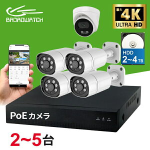 �h�ƃJ���� ���O POE���d�� 800����f �h�[���^1�� �o���b�g�^1�`4�� �~�b�N�X�Z�b�g NVR�J���� �I�ׂ�n�[�h�f�B�X�N2TB/4TB�̘^��@�Z�b�g �u���[�h�E�H�b�` LAN�P�[�u���ڑ� ���R�[�_�[�Z�b�g 