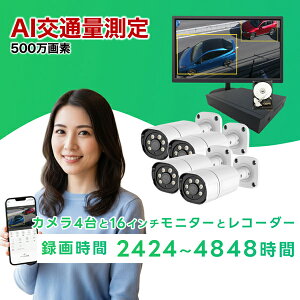 �h�ƃJ���� ���O �ԗ��F�� AI�L�� 500����f �J����4�� �I�ׂ�n�[�h�f�B�X�N2TB/4TB�̘^��@�Z�b�g POE���d�� �u���[�h�E�H�b�` NVR�J���� LAN�P�[�u���ڑ� �Ď��J���� ��ʗʌv�� �G���A���m ��