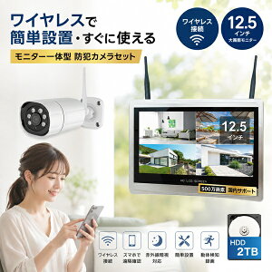 �h�ƃJ���� ���O ���C�����X�ڑ� �z���s�v 1�`4��Z�b�g 500����f �^��@�\�t��12.5�C���`�t�����j�^�[�Z�b�g �u���[�h�E�H�b�` HDD 2TB/4TB wifi ���� �x�� �Ď��J���� �h�� �h�o �ԊO�� �Î� ��