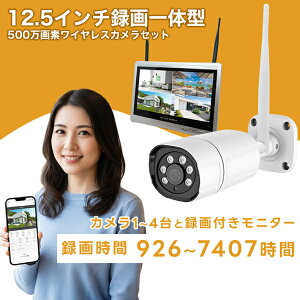 �h�ƃJ���� ���O ���C�����X�ڑ� �z���s�v 1�`4��Z�b�g 500����f �^��@�\�t��12.5�C���`�t�����j�^�[�Z�b�g �u���[�h�E�H�b�` HDD 2TB/4TB wifi ���� �x�� �Ď��J���� �h�� �h�o �ԊO�� �Î� ��