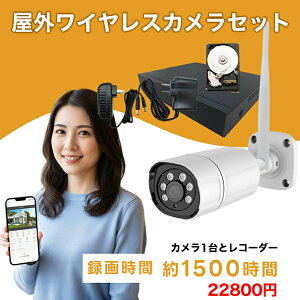 �h�ƃJ���� ���O ���C�����X�ڑ� 1��Z�b�g �H���s�v�ŏ����ł��ȒP�Ɏ�t���ł��� 300����f �h�ƃJ�����Z�b�g ���R�[�_�[ �n�[�h�f�B�X�N500GB �Z�b�g �u���[�h�E�H�b�` SEC-W-M1CH-500 wifi ����