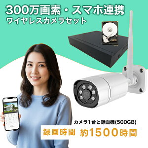 �h�ƃJ���� ���O ���C�����X�ڑ� 1��Z�b�g �z���s�v�ŏ����ł��ȒP�Ɏ�t���ł��� 300����f �h�ƃJ�����Z�b�g ���R�[�_�[ �n�[�h�f�B�X�N500GB �Z�b�g �u���[�h�E�H�b�` SEC-W-M1CH-500 wifi ����