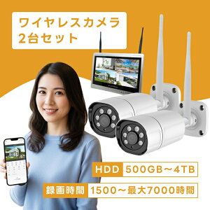 �h�ƃJ���� ���C�����X ���O �H���s�v 300����f 2�� 12.5�C���`�^���̌^ �t�����j�^�[�Z�b�g HDD 2TB �u���[�h�E�H�b�` SEC-W-ML2CH-2T �h�ƃJ�����Z�b�g ���R�[�_�[ wifi ���� �ƒ�p �^��@�Z�b�g