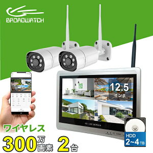 hƃJ CX O Hsv 300f 2 12.5C`^̌^ tj^[Zbg HDD 2TB u[hEHb` SEC-W-ML2CH-2T hƃJZbg R[_[ wifi  ƒp ^@Zbg