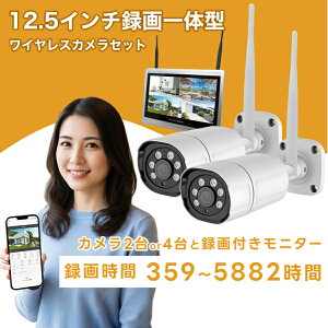 �h�ƃJ���� ���O ���C�����X�ڑ� 12.5�C���`�^���̌^ 2�`4��Z�b�g �z���s�v 300����f �^��@�\�t��12.5�C���`�t�����j�^�[�Z�b�g �u���[�h�E�H�b�` HDD 2TB/4TB wifi ���� �x�� �Ď��J���� �h�� 