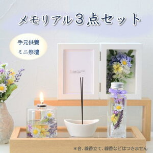 ԁ@ԃv ʐ^ {gt[3_Zbg ICv LŎʐ^  ~ ~  ފ d   蕨 茳{@~jd@㕧d@@~j@