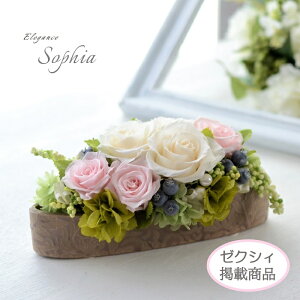 Os[y[NVBGfځz Lbg vU[uht[  [Y o  Mtg v[g ̓ lC  蕨 hV̓  a  җ  j