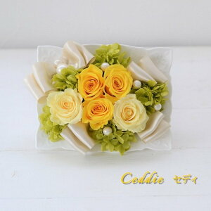 vU[uht[ lC ! ̓ Mtg  i Mtg ̓ FB ̓ 蕨  a v[g lC LO җ Ê  Ď   F  e މ@j 