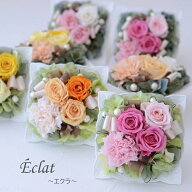 【ケース付き】プリザーブドフラワー 手作りキット 母の日 カーネーション eclat ブライダル ウェディン…