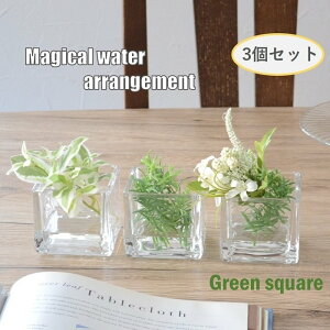 }WJEH[^[y 3ZbgztFCNO[ KX G} AW CeAO[ ̓ ̓ Mtg ϗtA Vv av[g 蕨  G} Vzj 