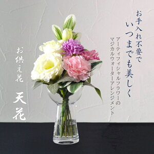 yVz }WJEH[^[ lC }WJEH[^[AWg  蕨  VԊiv~j  dp     d ފ ~ 蕨 @