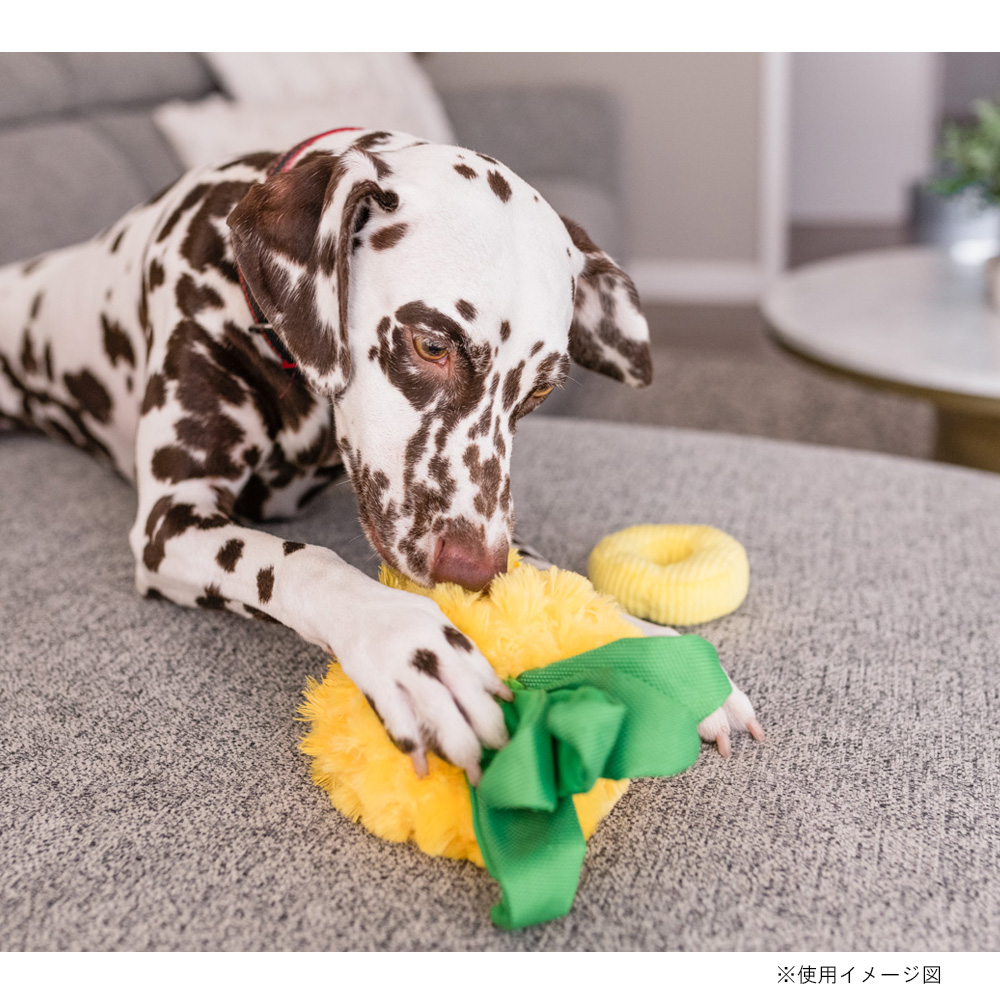 キュートなデザインのP.L.A.Yのおもちゃ おしゃれなおもちゃ P.L.A.Y 安全 プレイ トロピカルパラダイス 激安特価品 犬 ぬいぐるみ ペット おもちゃ パインアップル