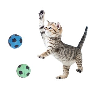 スポンジ状で軽い 愛猫が転がしやすいボール スポンジ状で軽ボール プラッツ