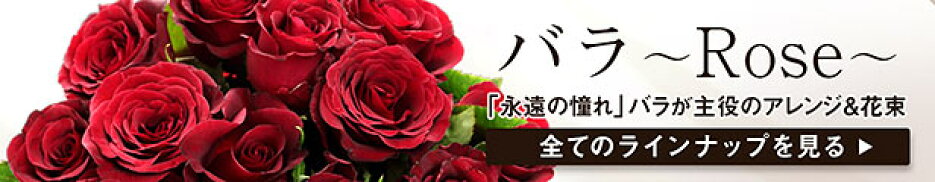 バラ