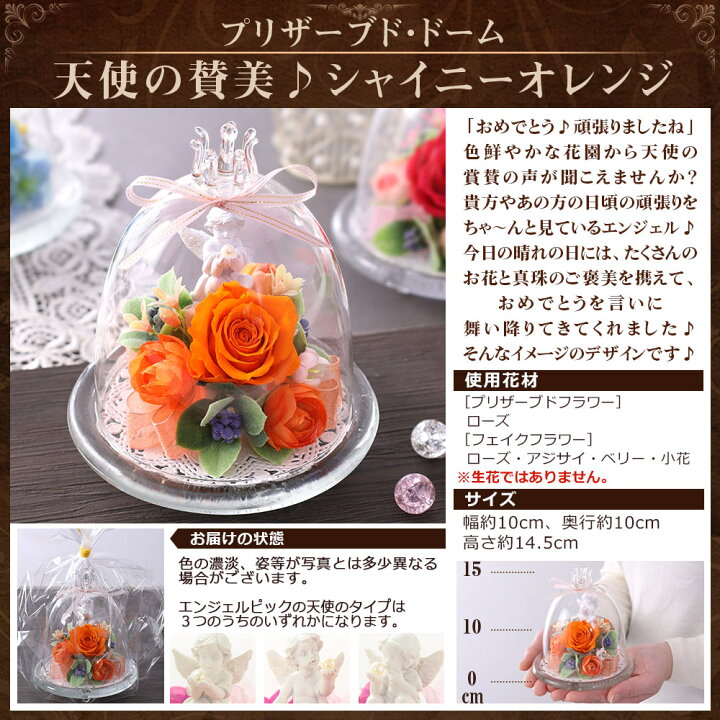 母の日に贈る人気の花 種類別 ランキングtop15 花言葉も要チェック Giftpedia Byギフトモール アニー ガラスドームのガラスで作られた天使の姿で永遠にバラ 永遠のオレンジローズ Vladatk Kim Ba