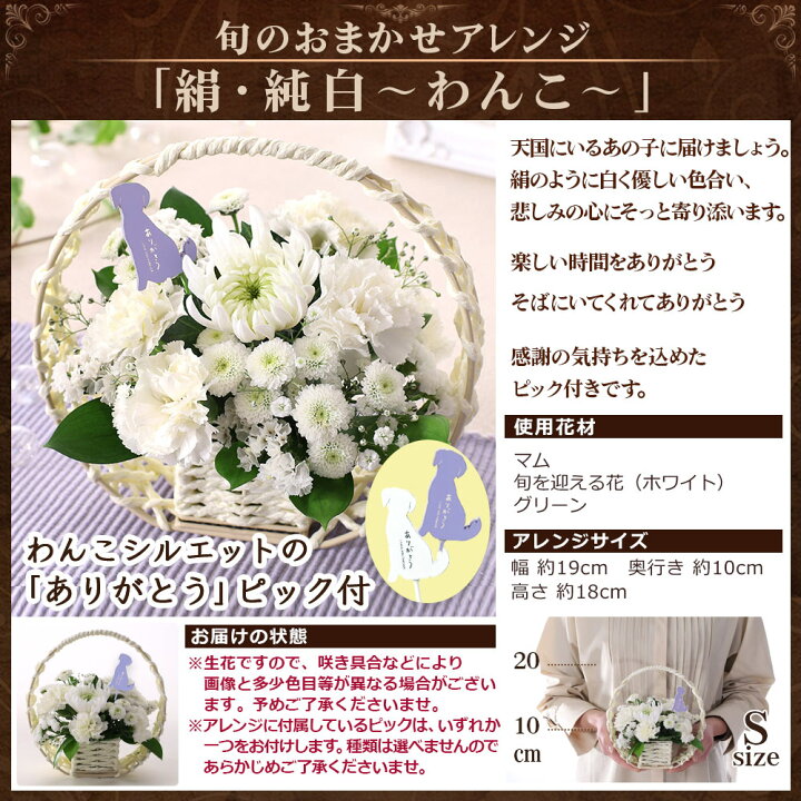 楽天市場 あす楽 14時まで 花 ペット お悔やみ メモリアル アレンジ 送料無料 お悔み お供え 供養 お盆 命日 誕生日 ギフト プレゼント フラワー アレンジメント 供花 仏花 お彼岸 四十九日 虹の橋 洋風 和風 供花 喪中 お見舞い ｂｕｎｂｕｎ ｂｅｅ