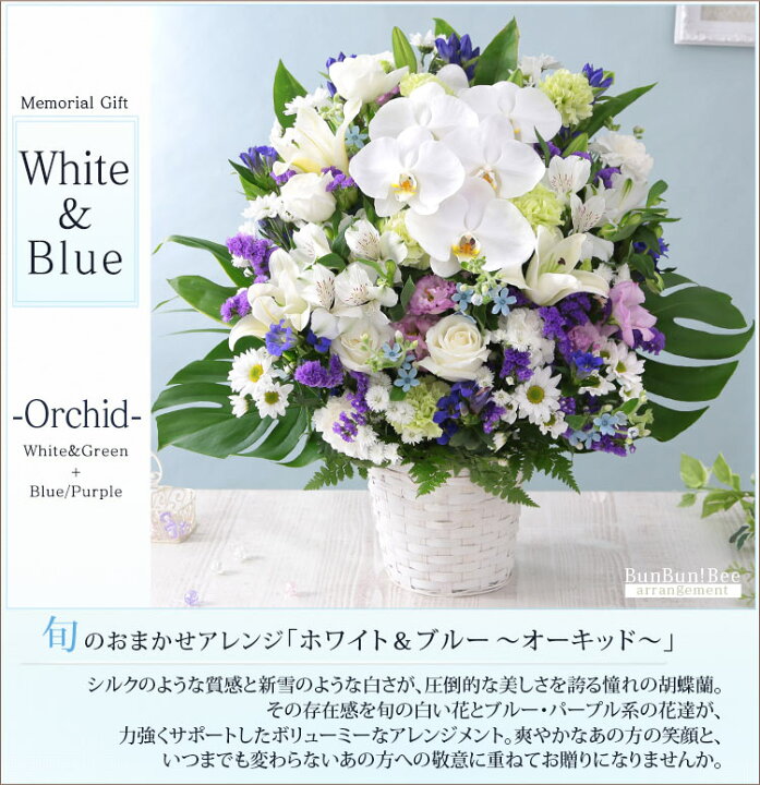 楽天市場】お供え お悔やみ 花 あす楽 14時まで 旬のおまかせアレンジメント LL 送料無料 供花 仏花 誕生日 ギフト プレゼント フラワー ギフト メモリアル アレンジ お盆 お彼岸 法要 供養 初盆 命日 お悔み 法事 四十九日 枕花 仏事 弔事 供花 喪中 見舞い : 楽天市場】お供え お悔やみ 花 あす楽 14時まで 旬のおまかせアレンジメント LL 送料無料 供花 仏花 誕生日 ギフト プレゼント フラワー ギフト メモリアル アレンジ お盆 お彼岸 法要 供養 初盆 命日 お悔み 法事 四十九日 枕花 仏事 弔事 供花 喪中 見舞い :