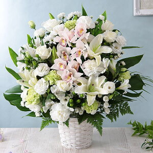 yŒZ ͂ 14܂Łz   {̂܂AWg LL   Mtg v[g t[ Mtg A AW ~ ފ @v { ~   