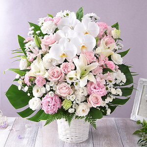 yŒZ ͂ 14܂Łz   {̂܂AWg LL   Mtg v[g t[ Mtg A AW ~ ފ @v { ~   