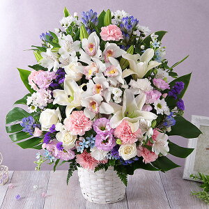 yN[|150~OFFIzyŒZ ͂ 14܂Łz   {̂܂AWg LL   Mtg v[g t[ Mtg A AW ~ ފ @v 