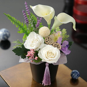    vU[uht[ ͂Ȃ vU[uhAW    Mtg A v[g ފ ~ @v { ~  @  l\ yb