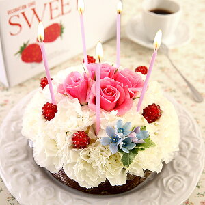 y|Cg5{IzyŒZ ͂ 14܂Łz Mtg av[g t[P[L Ajo[T[Mtg  P[L a v[g LO j  N} xA ptF  