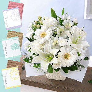 yŒZ ͂ 14܂Łz   {̂܂AWg ZbgS Mtg t[ AW   ~ ފ @v { ~   @ l\  