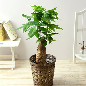 ϗt ϗtA 6  Iׂ12 JSt CeA  xW~ TZxA V}glR I[KX^ hZi pL Xe bJ tBJX av[