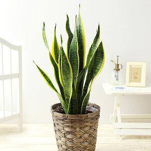 ϗt ϗtA 6  Iׂ12 JSt CeA  xW~ TZxA V}glR I[KX^ hZi pL Xe bJ tBJX av[